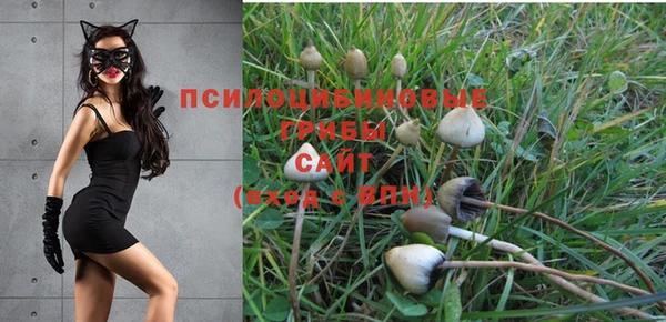 кокаин колумбия Козельск