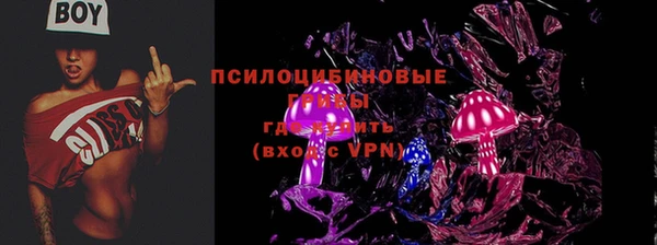 прущая мука Козловка