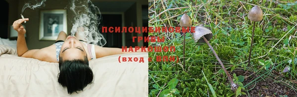 кокаин колумбия Козельск