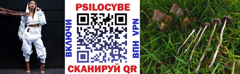 где продают наркотики  Вологда  OMG зеркало  Псилоцибиновые грибы MAGIC MUSHROOMS 