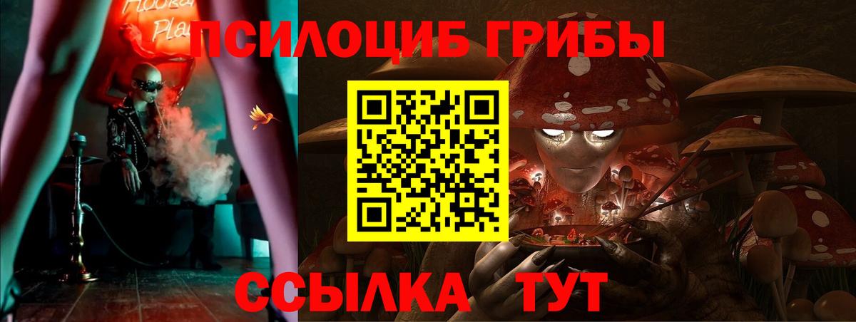Галлюциногенные грибы Psilocybine cubensis  как найти закладки  Вологда 